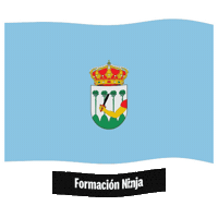 Castilla Y Leon Flag Sticker by Formación Ninja