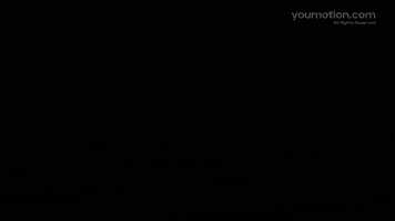 Liquid Transitions 2