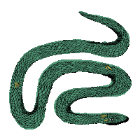 Nycfashion Sticker by minandmonbags