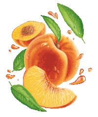 Peach Pluss Sticker by OMBU