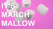March 1St GIF by Sealed With A GIF