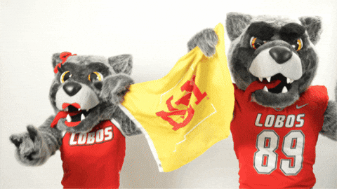 New Mexico Mascots GIF by UNM