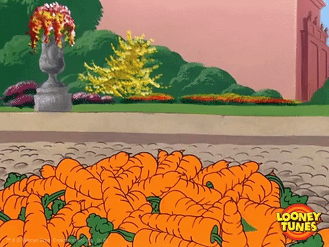 Wake Up What GIF by Looney Tunes