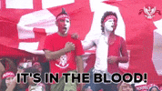 indonesia timnas GIF by PSSI