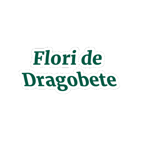 florariamagnolia giphyupload dragobete floraria magnolia floraria magnolia dragobete Sticker