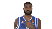 basketball badge Sticker by EuroLeague