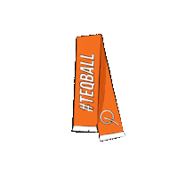 Fan Sticker by Teqball