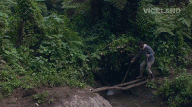 GIF by WEEDIQUETTE