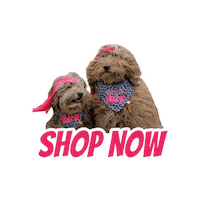 Shop Doodle Sticker by Milagency