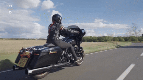 Performance Experience GIF by Harley-Davidson