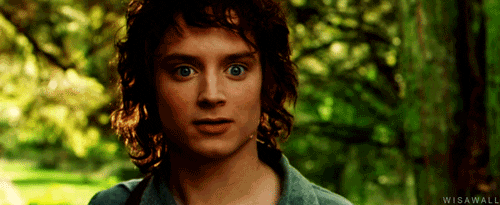 the lord of the rings smile GIF