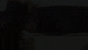 fox tv GIF by Lethal Weapon