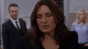 Season 17 Nbc GIF by Law & Order