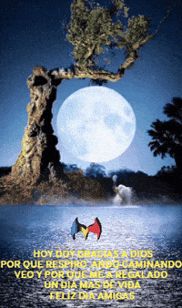 Amigos Familia GIF by Murcianys LLC