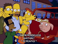 homer simpson episode 3 GIF