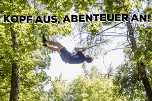 Wald-Abenteuer adventure spass tarzan wald GIF