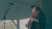 marcus king band rock GIF