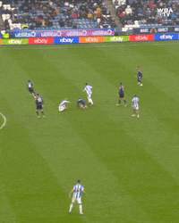 West Brom Football GIF by West Bromwich Albion