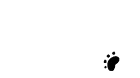 Hiking Paw Prints Sticker by riverandtrail