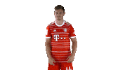 In Love Football Sticker by FC Bayern Munich