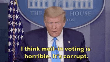 Donald Trump Vote By Mail GIF by GIPHY News