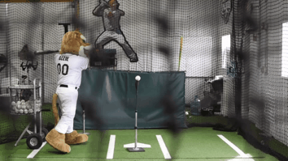 your cougars ozzie t cougar GIF by Kane County Cougars