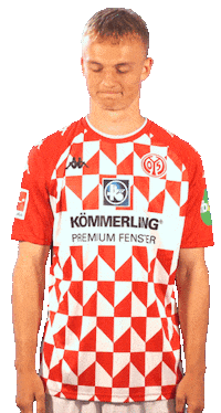 fsvmainz05 no bundesliga fussball lose Sticker