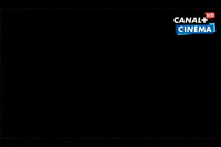 canalplusmaurice conjuring canal + GIF