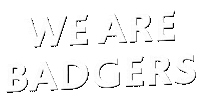 badgers niagara Sticker by Brock University