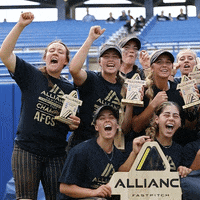thealliancefastpitch softball fastpitch the alliance fastpitch alliance fastpitch GIF