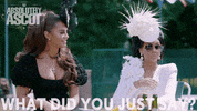 GIF by Absolutely Ascot