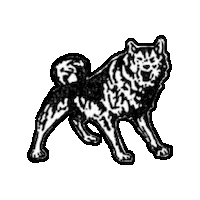 Huskies Sticker by USask