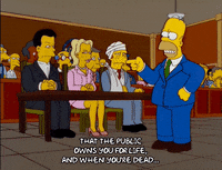 homer simpson court GIF