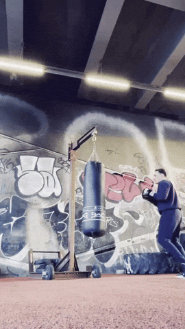 Muay Thai Ufc GIF by Casol