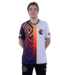Esports Zebra Sticker by BS+COMPETITION