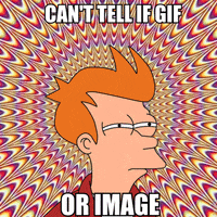 Futurama Fry GIF