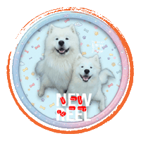 Video New Post Sticker