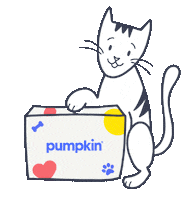 Embrace Lemonade Insurance Sticker by Pumpkin