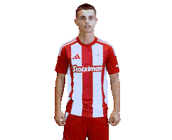 Greek Football Sticker by Olympiacos FC