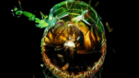 SpaceGathering giphybackdropmaker GIF