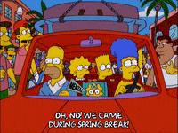 homer simpson party GIF