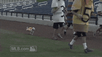 spring training brewers GIF by MLB