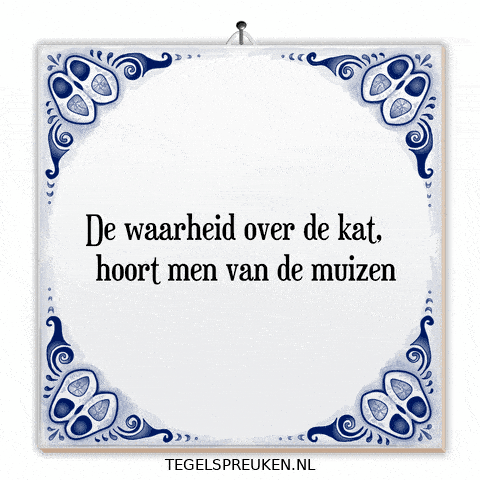 Humor Spanning GIF by Tegelspreuken.nl