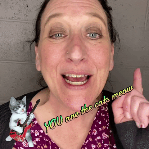 pawsaroundmotown paws around motown you are the cats meow GIF