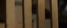 step brothers punch GIF