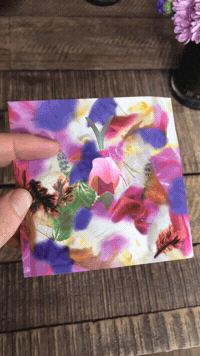 GIF by sallybrabbit