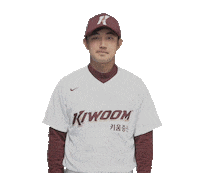 키움히어로즈 Sticker by Kiwoom Heroes Baseball Club