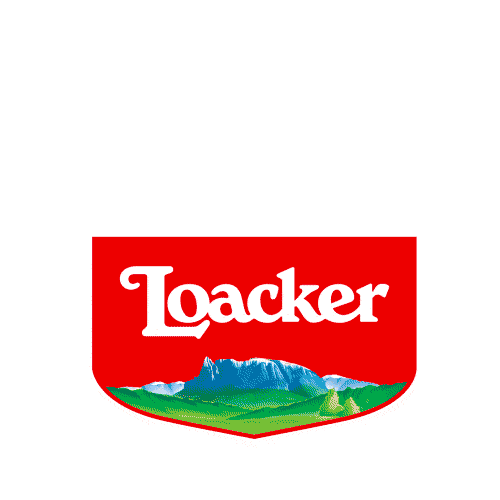 Logo Firework Sticker by loacker