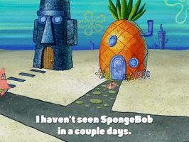 season 4 episode 3 GIF by SpongeBob SquarePants