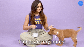 Those Are My Pants!